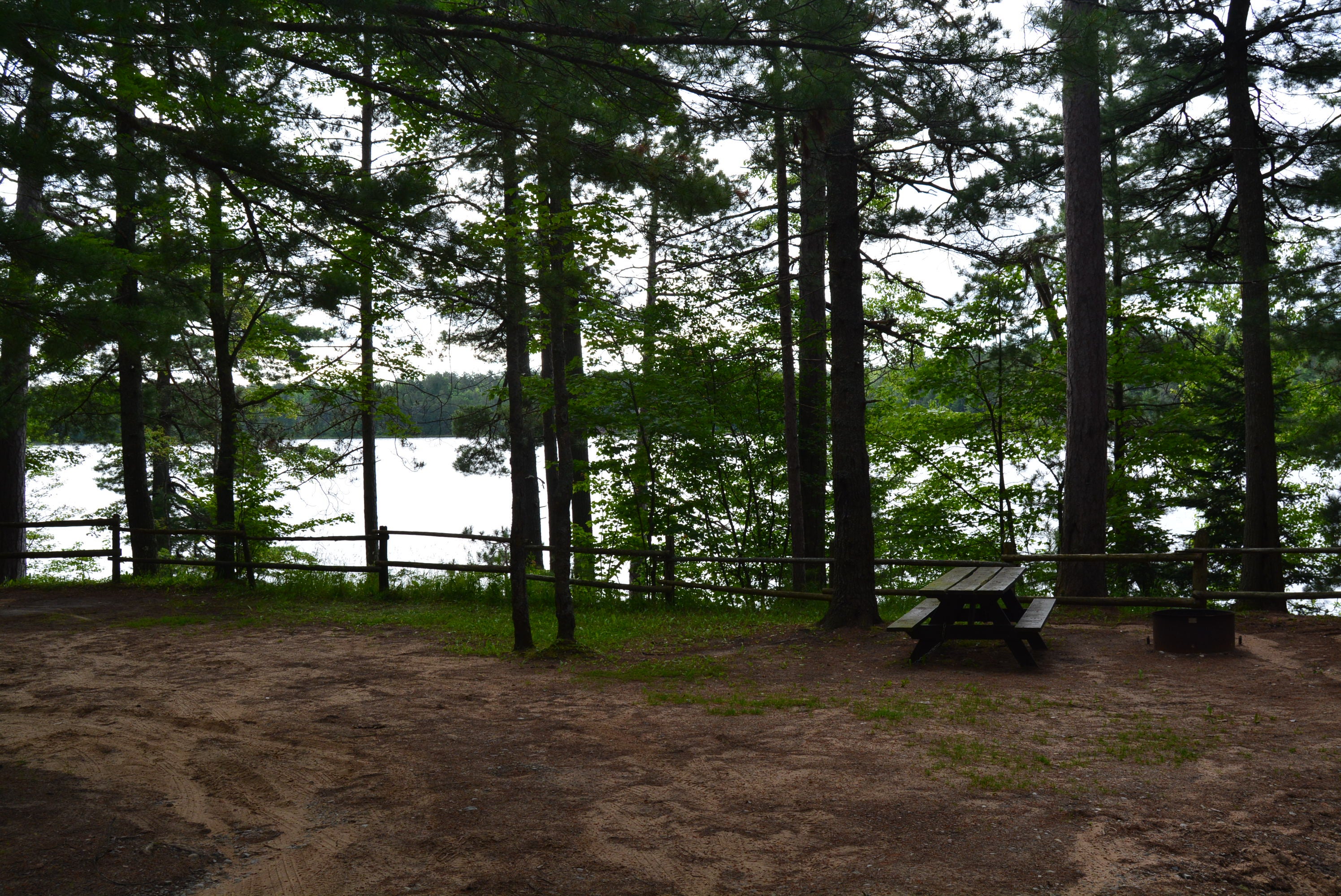 Camper submitted image from Perch Lake State Forest Campground - 4