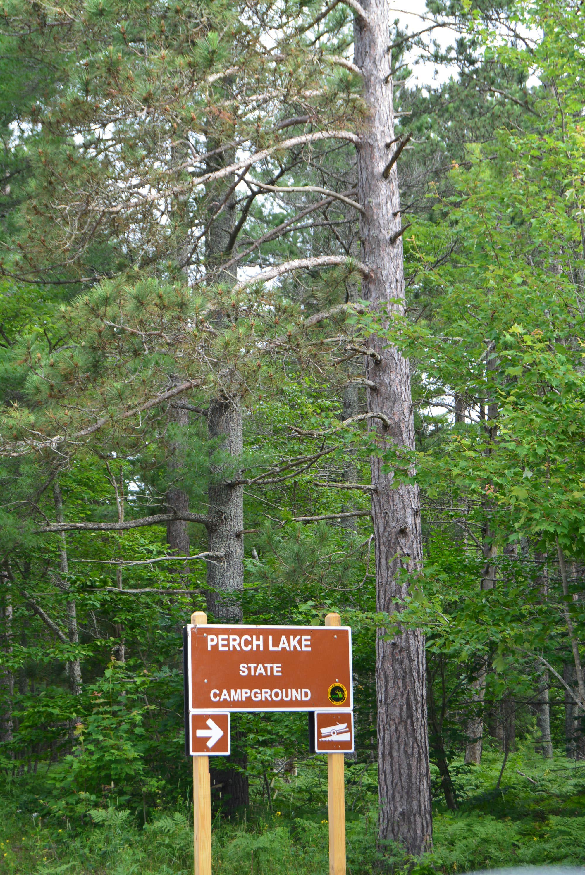 Camper submitted image from Perch Lake State Forest Campground - 2