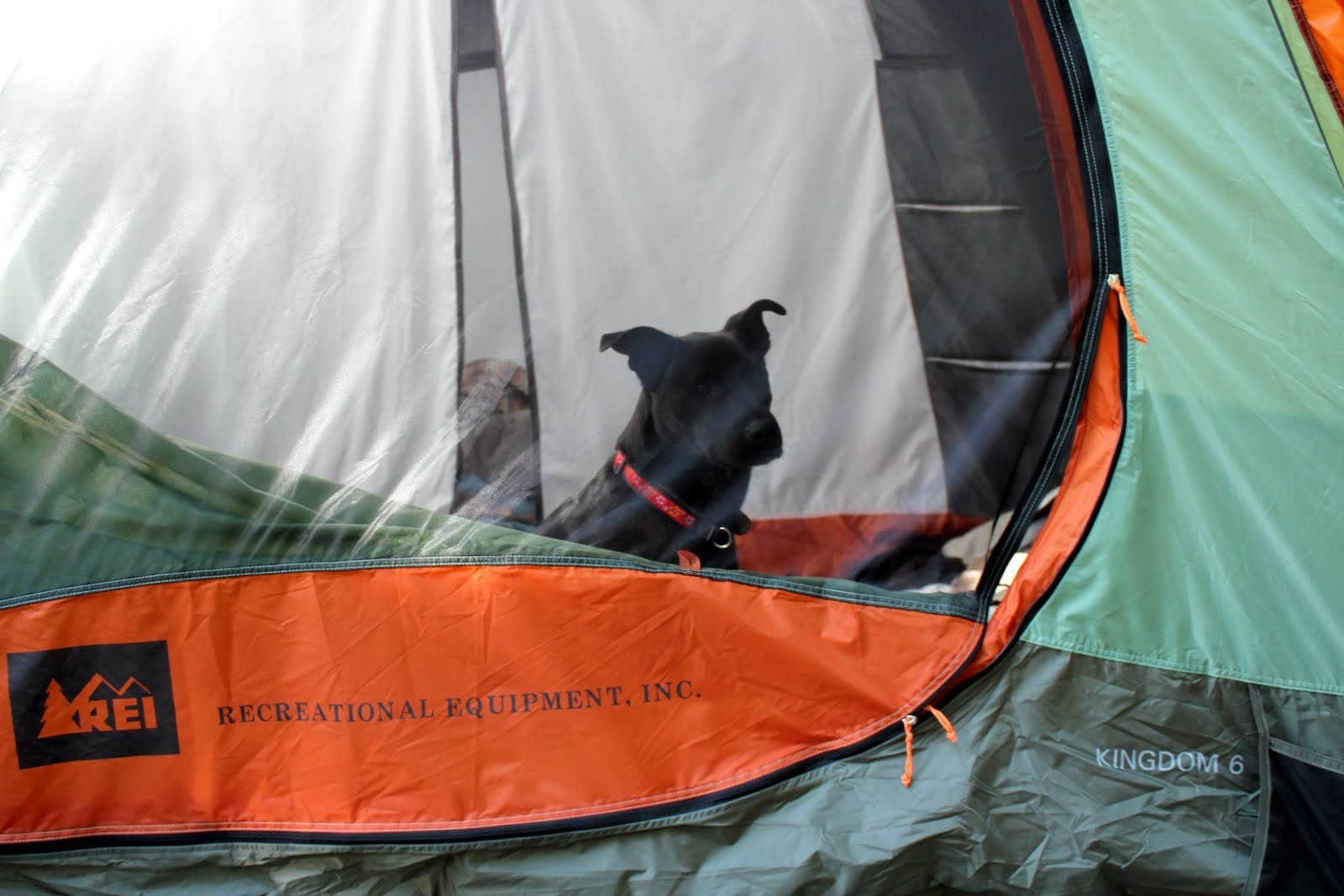 Camper submitted image from Unicoi State Park & Lodge - 2