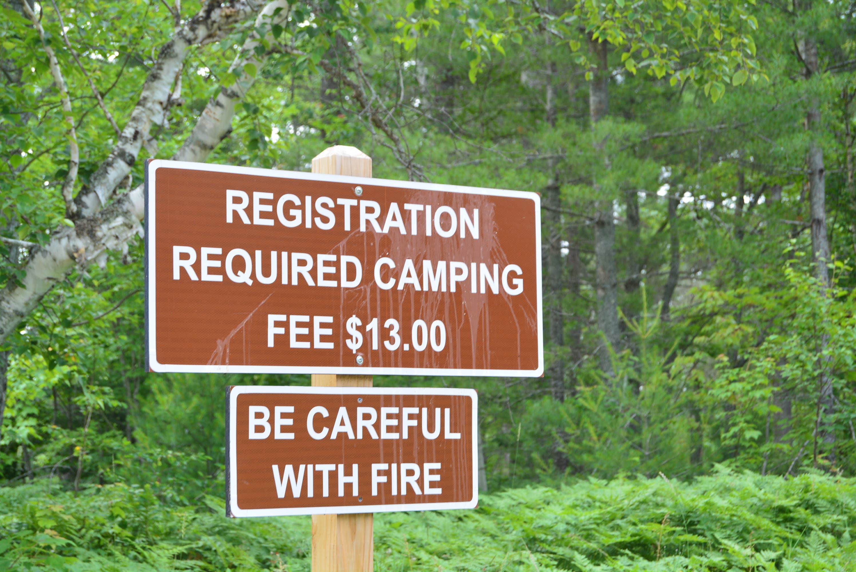 Camper submitted image from Perch Lake State Forest Campground - 5