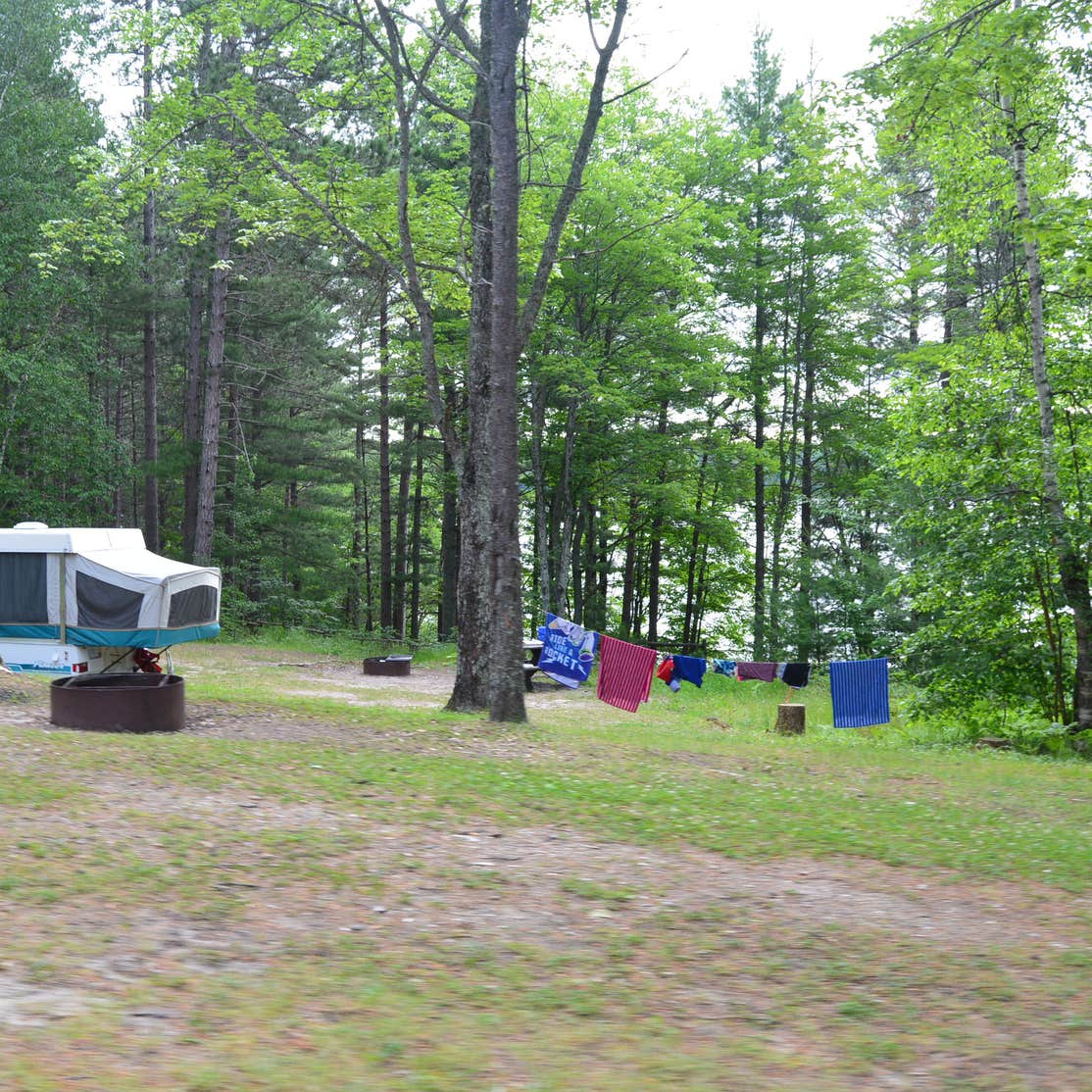 Perch Lake State Forest Campground Camping The Dyrt