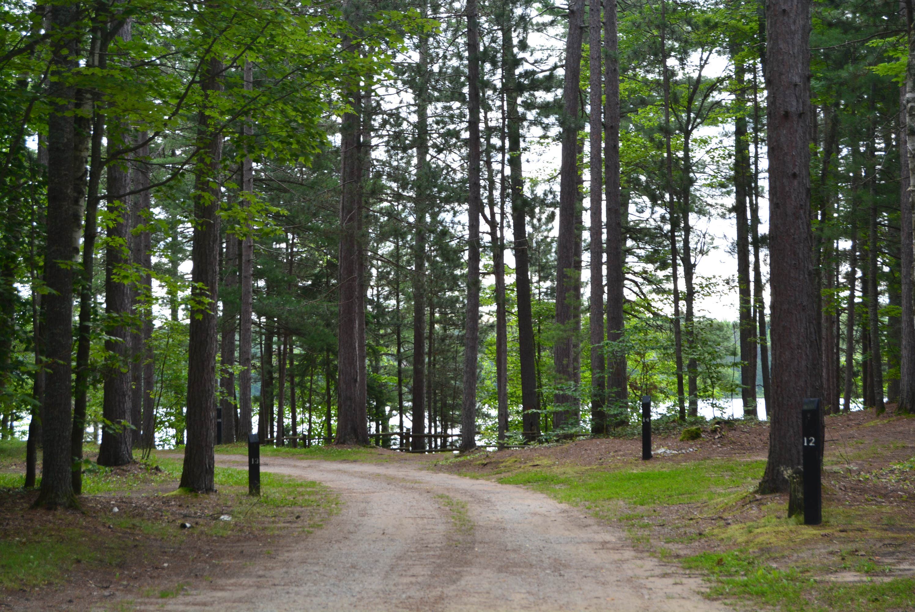Camper submitted image from Perch Lake State Forest Campground - 5