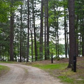 Review photo of Perch Lake State Forest Campground by Nancy W., October 29, 2017