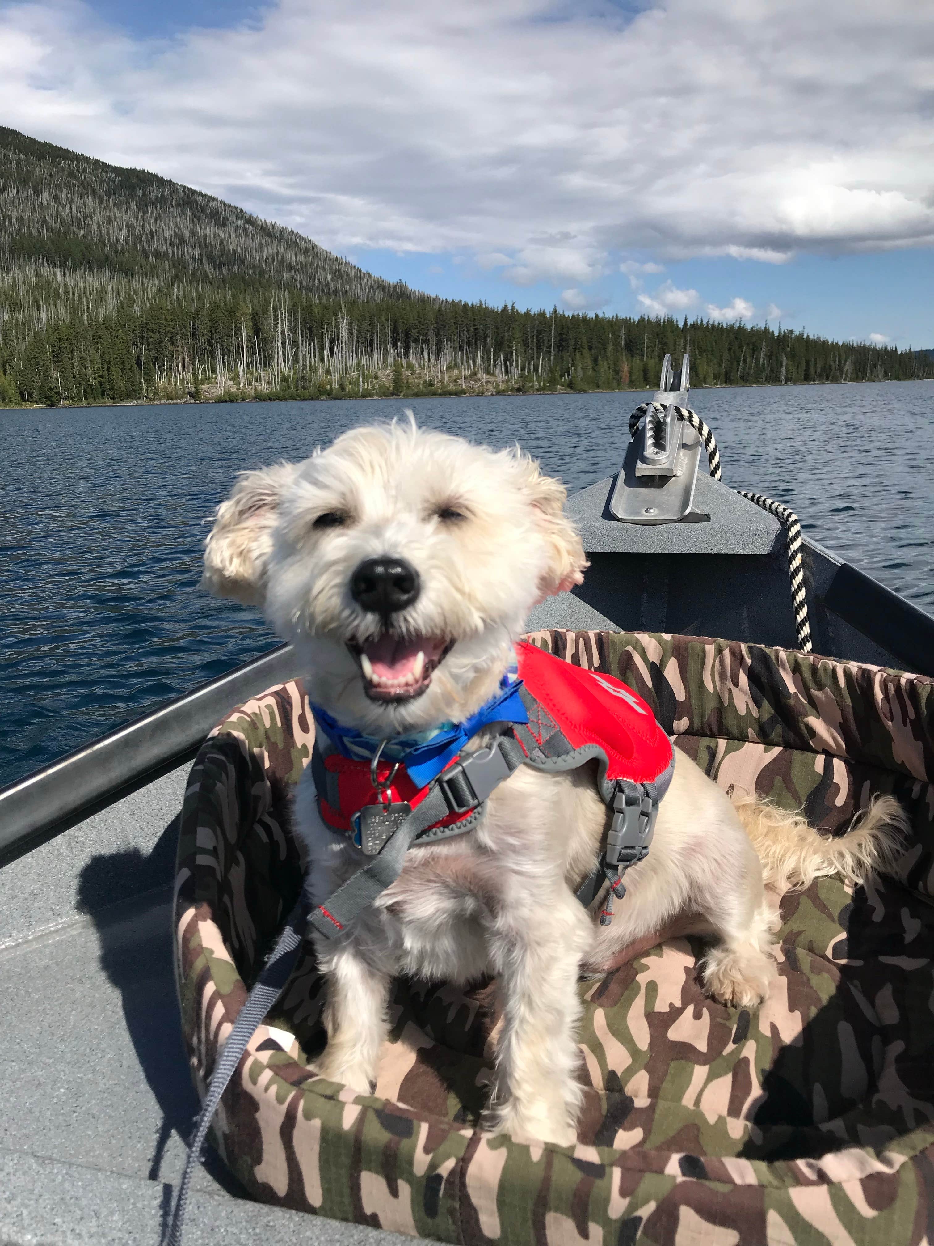Camper-submitted photo at Peninsula (Olallie) Campground near Idanha, OR