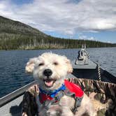 Review photo of Peninsula (Olallie) Campground by Ryan W., June 21, 2020