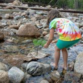 Review photo of Dry River — Crawford Notch State Park by Michele S., June 21, 2020