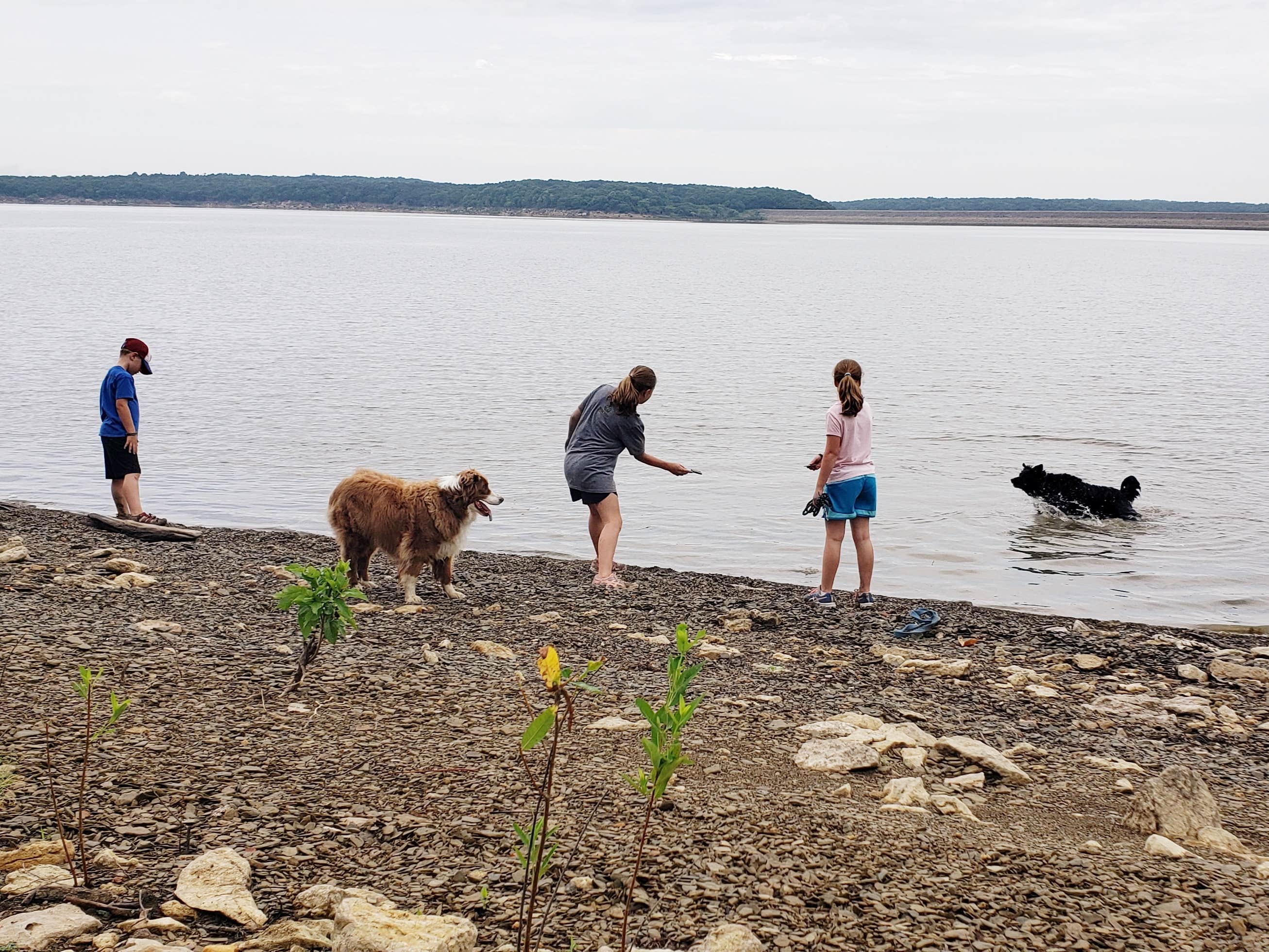 Angie S.'s photo of camping with pets at Timber Road Campground — Elk City State Park near Copan, OK