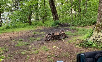 Nikki A.'s photo of a dispersed camping area at Flagpole Knob near Waynesboro, VA