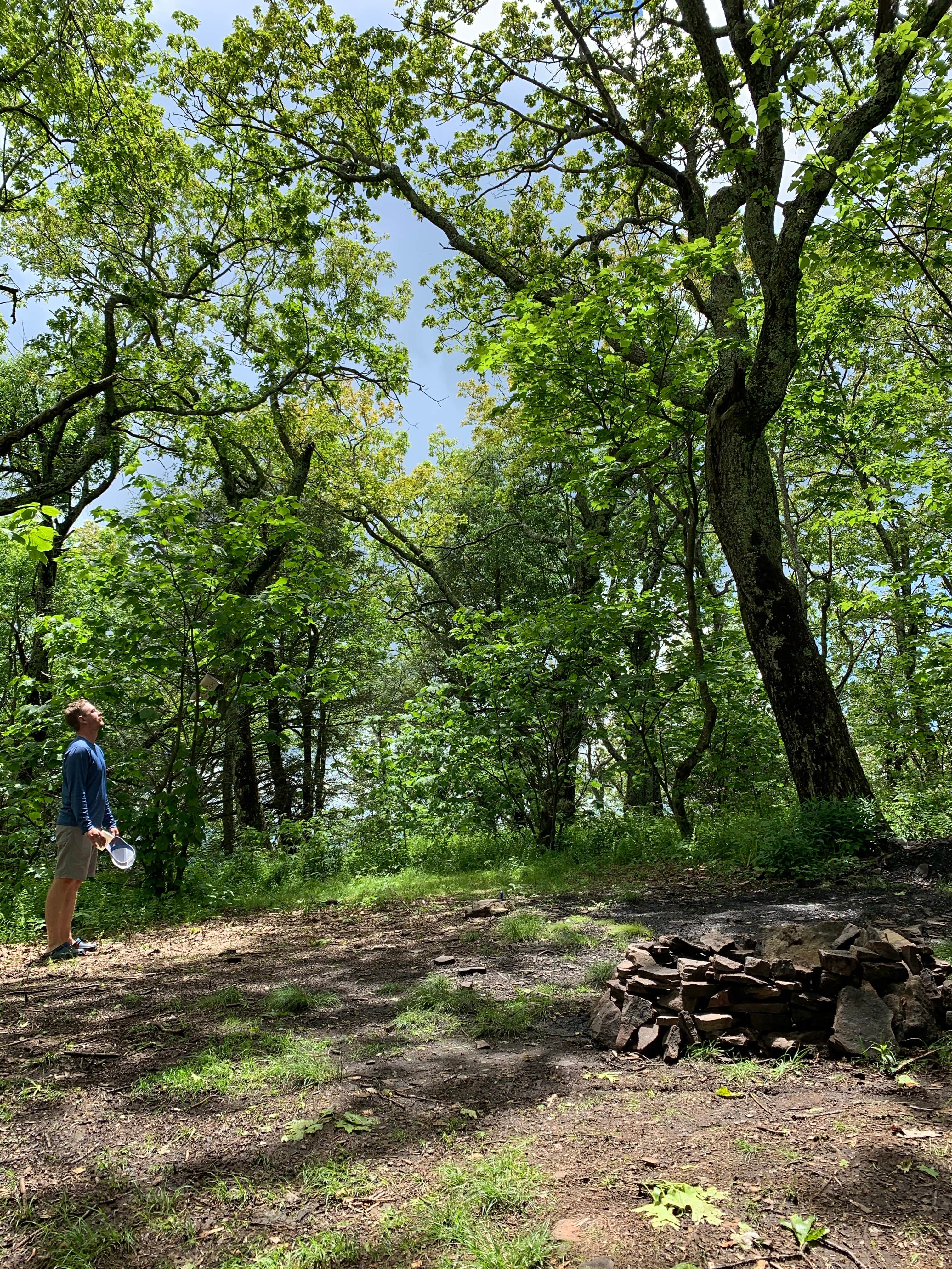 Camper submitted image from Flagpole Knob - 4