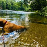 Review photo of Gee Creek Campground — Hiwassee/Ocoee Scenic River State Park by Kelly L., June 21, 2020