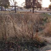 Review photo of San Juan County Park by Natalie B., October 29, 2017