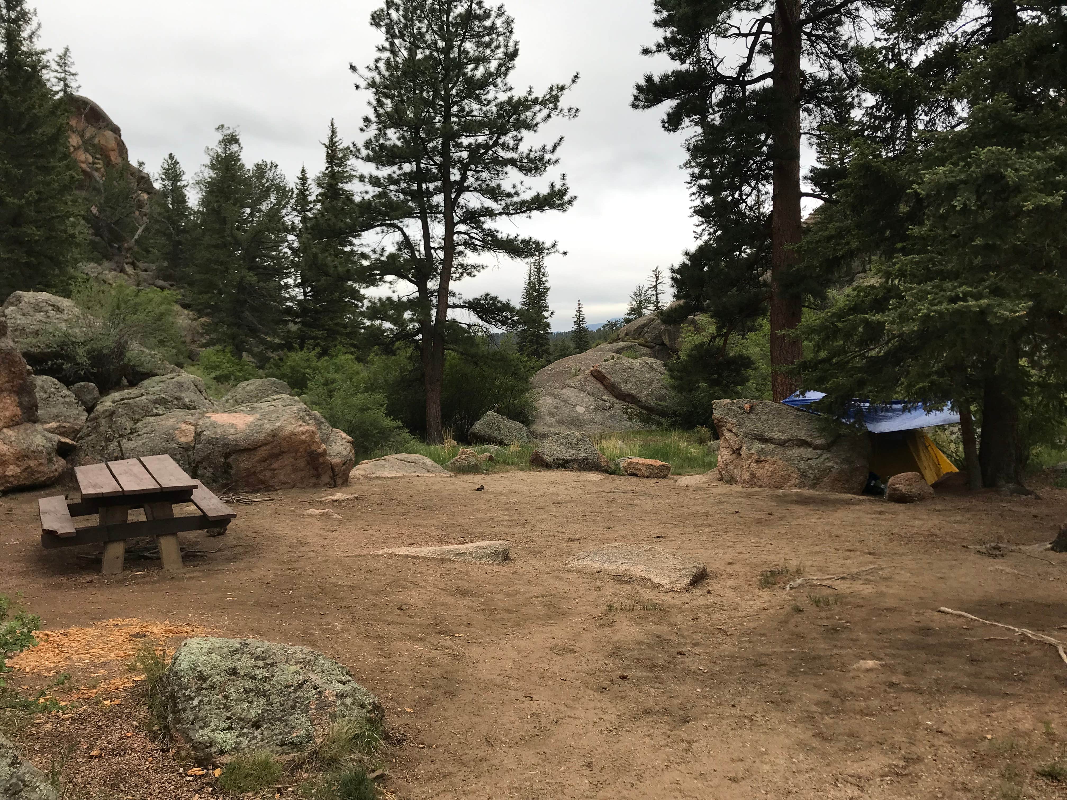 Camper submitted image from Spruce Grove Campground - 4