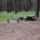 Review photo of Cold Springs Campground (OR) by Pat S., June 21, 2020