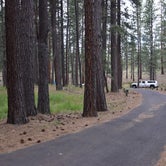 Review photo of Cold Springs Campground (OR) by Pat S., June 21, 2020