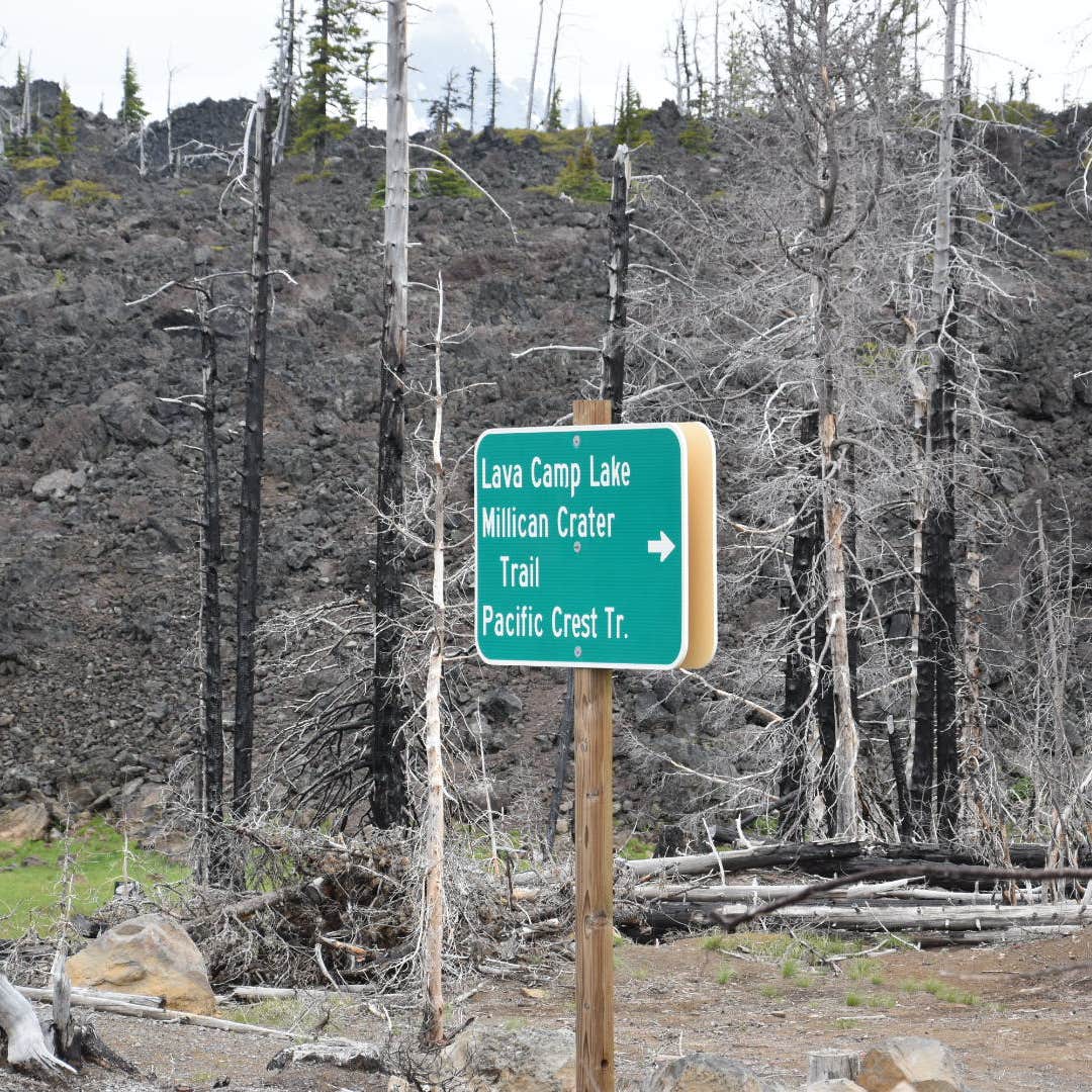 Lava Camp Lake Campground | Sisters, OR