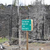 Review photo of Lava Camp Lake Campground by Pat S., June 21, 2020