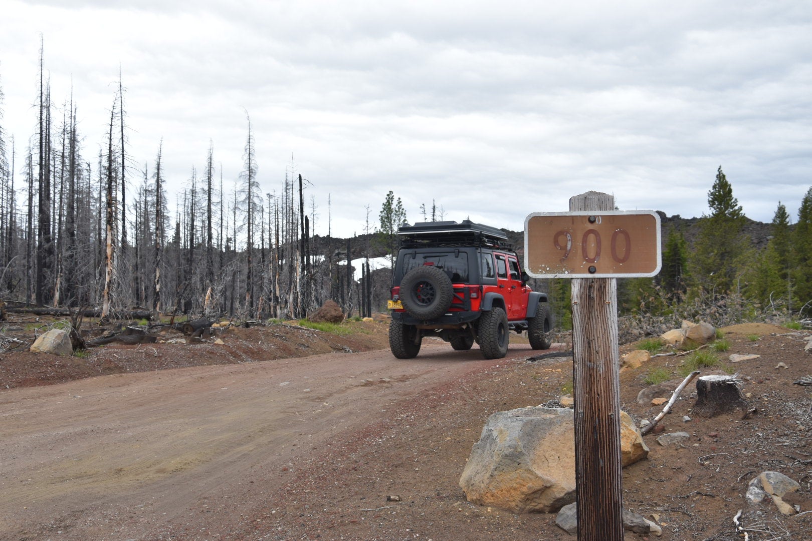 Camper submitted image from Lava Camp Lake Campground - 3