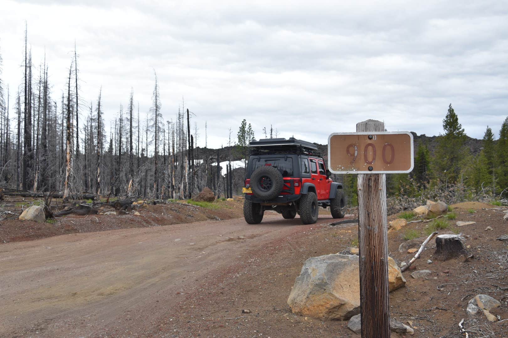 Camper submitted image from Lava Camp Lake Campground - 4