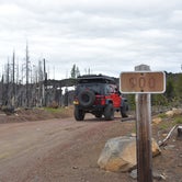 Review photo of Lava Camp Lake Campground by Pat S., June 21, 2020