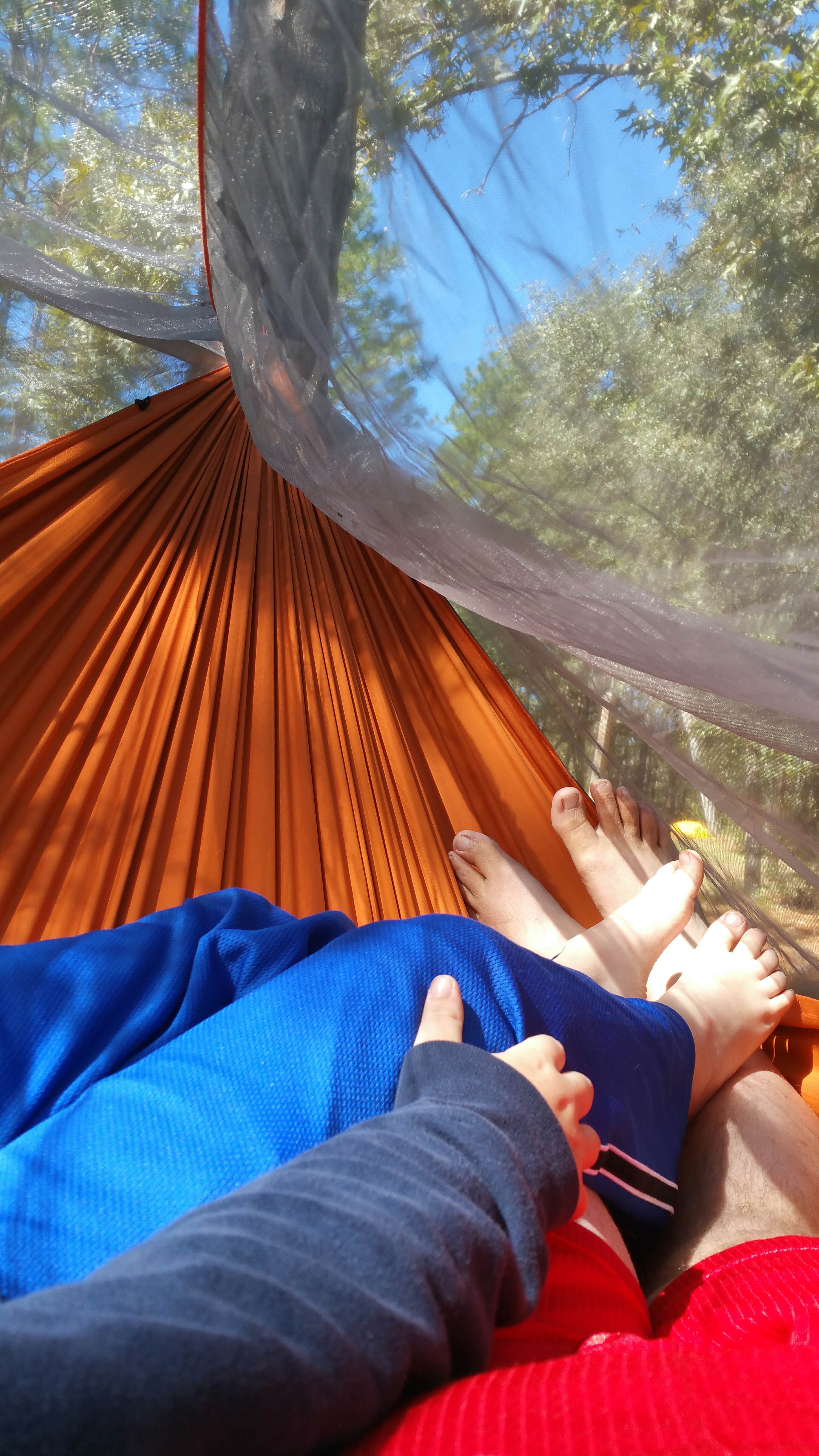 Camper submitted image from Shangri-La Trailhead & Campground - 4