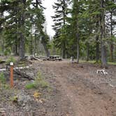 Review photo of Lava Camp Lake Campground by Pat S., June 21, 2020