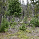 Review photo of Lava Camp Lake Campground by Pat S., June 21, 2020