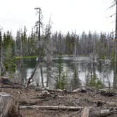 Review photo of Lava Camp Lake Campground by Pat S., June 21, 2020