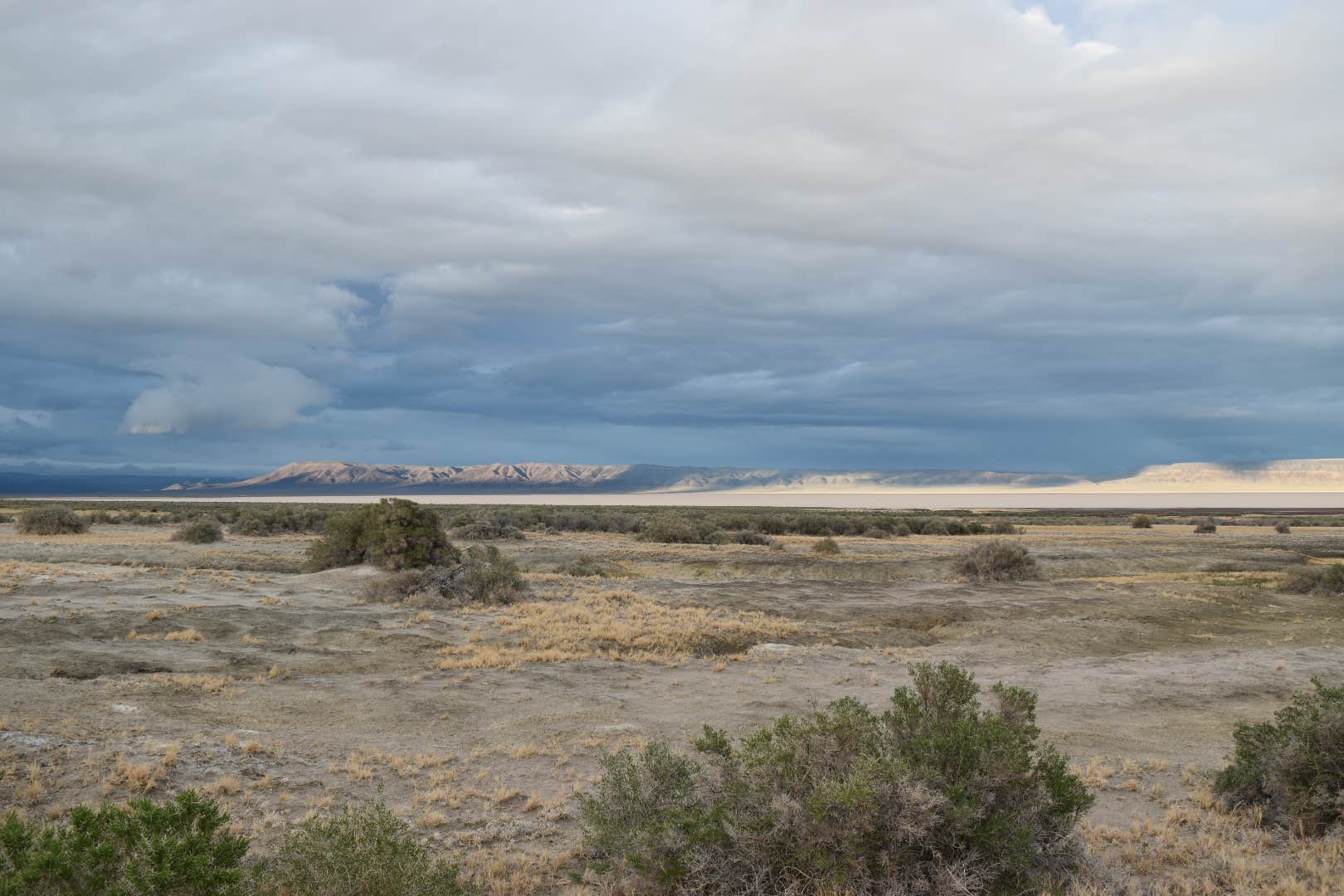 Camper submitted image from Alvord Hot Springs - 2