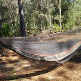 Review photo of Shangri-La Trailhead & Campground by AJ G., October 29, 2017