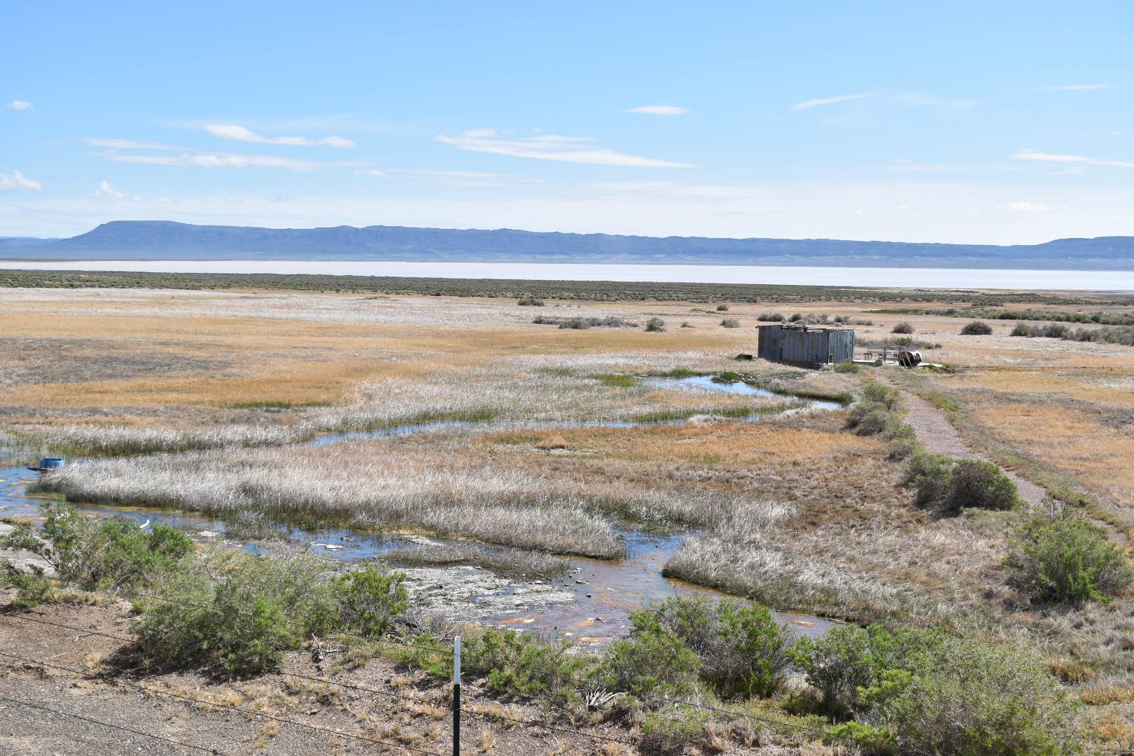 Camper submitted image from Alvord Hot Springs - 5