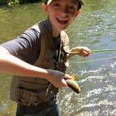 Review photo of Mohican State Park Campground by Brannon M., June 21, 2020