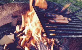 Brannon M.'s photo of camping with pets at Mohican State Park Campground near Glenmont, OH