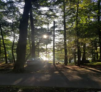 Camper-submitted photo from Thompson's Lake Campground — Thacher State Park