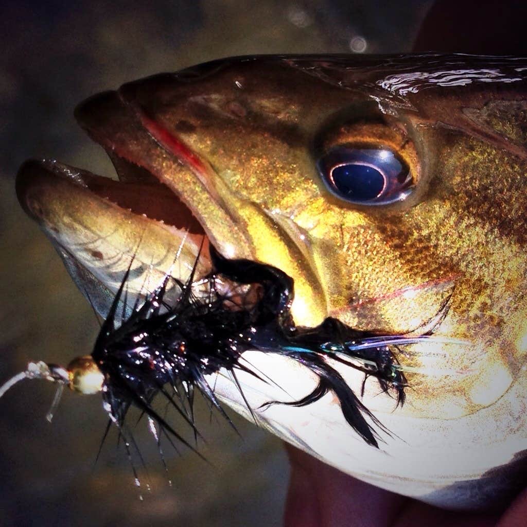 Camper-submitted photo at Apple River Canyon near Lena, IL