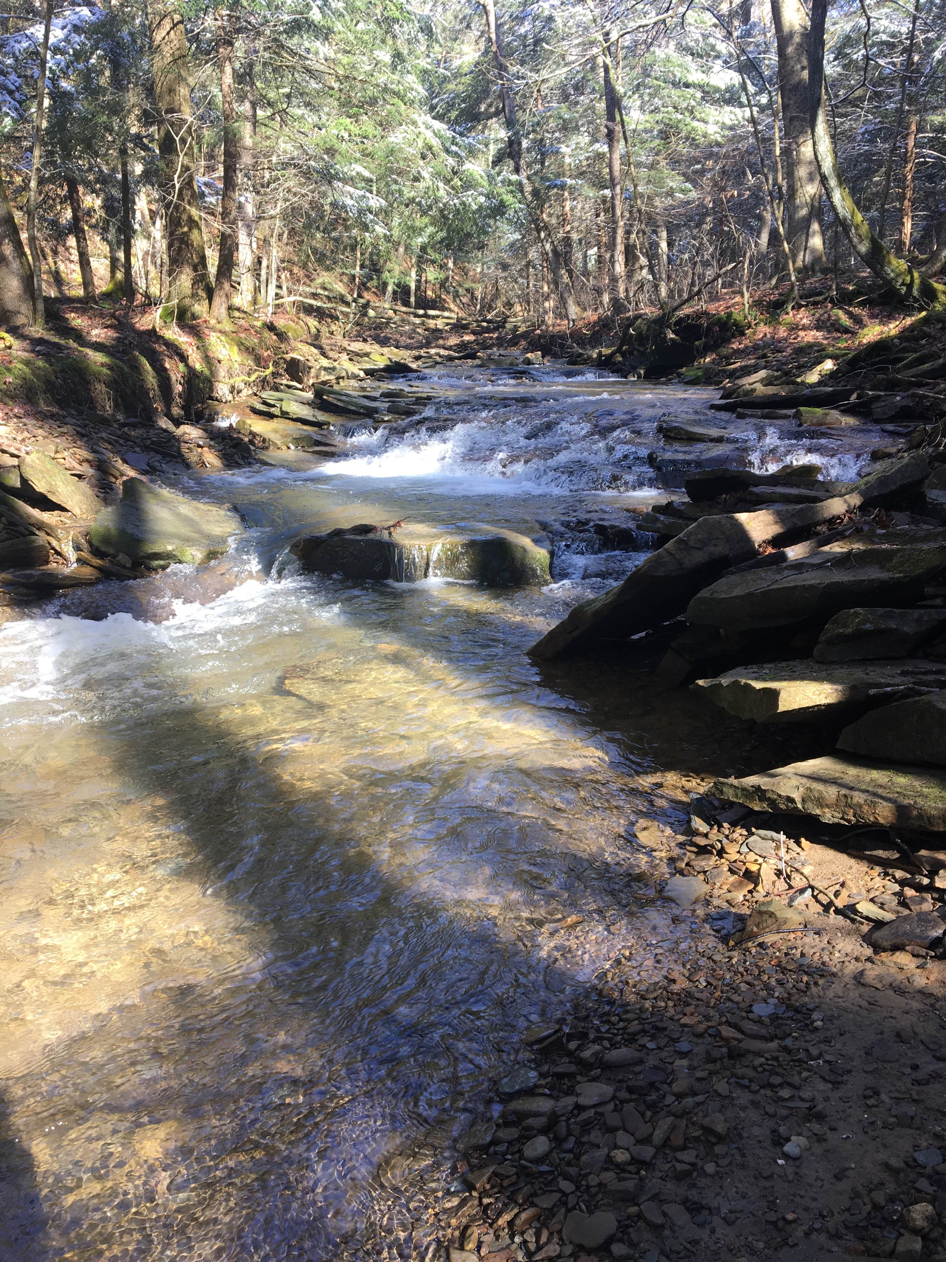 Camper submitted image from Oil Creek Family Campground - 5