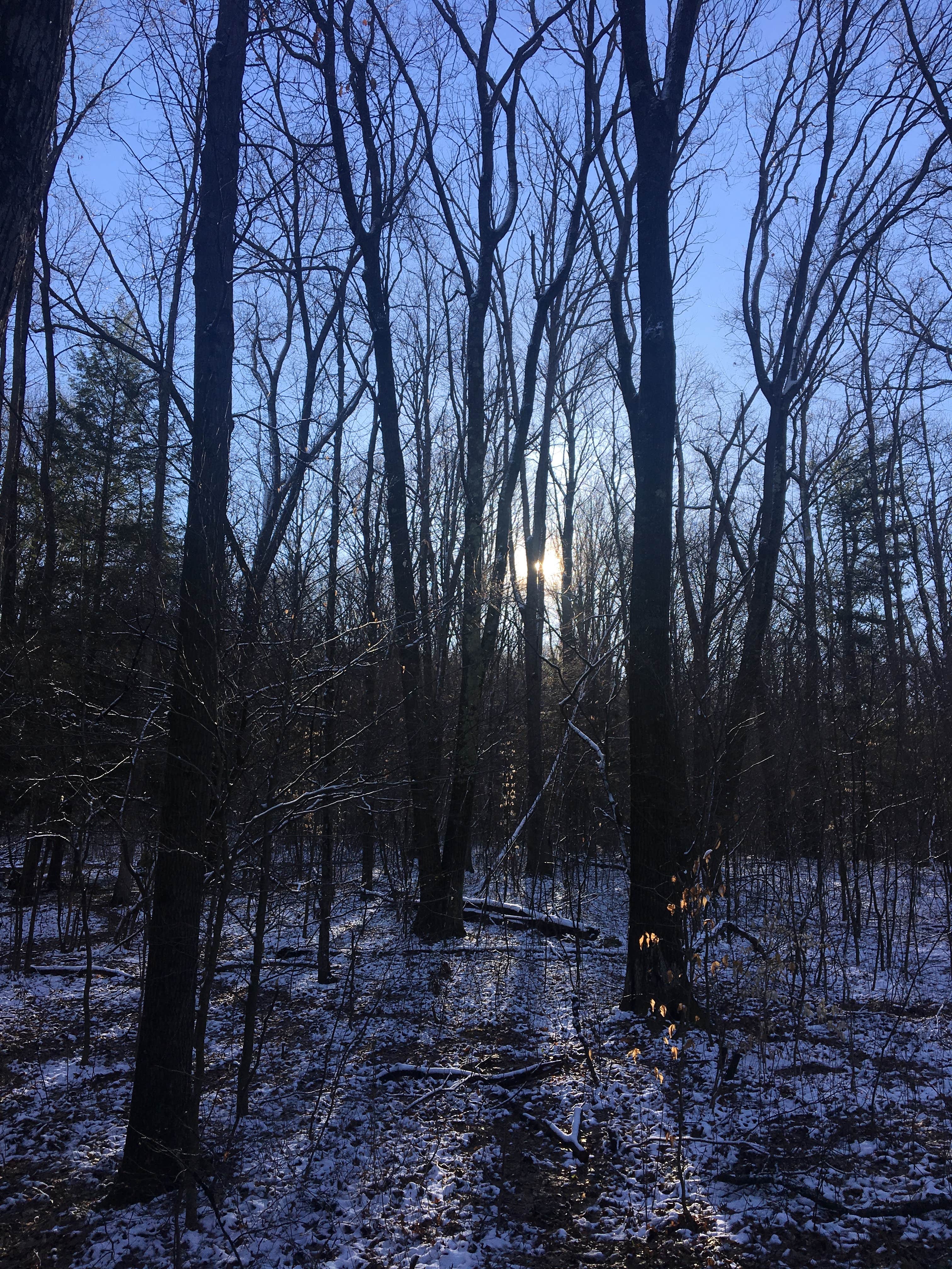 Camper-submitted photo at Oil Creek Family Campground near Guys Mills, PA