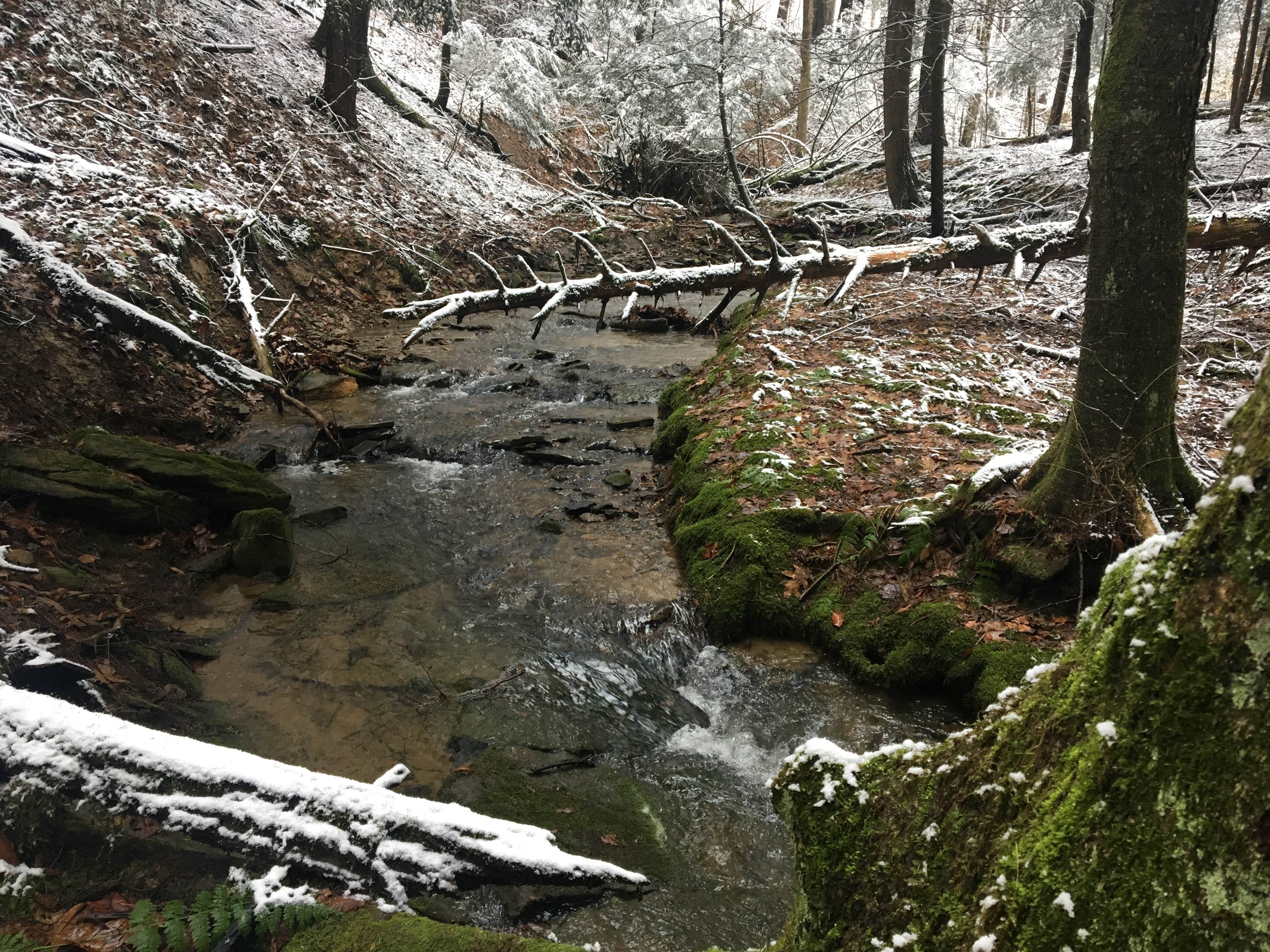 Camper-submitted photo at Oil Creek Family Campground near Leeper, PA