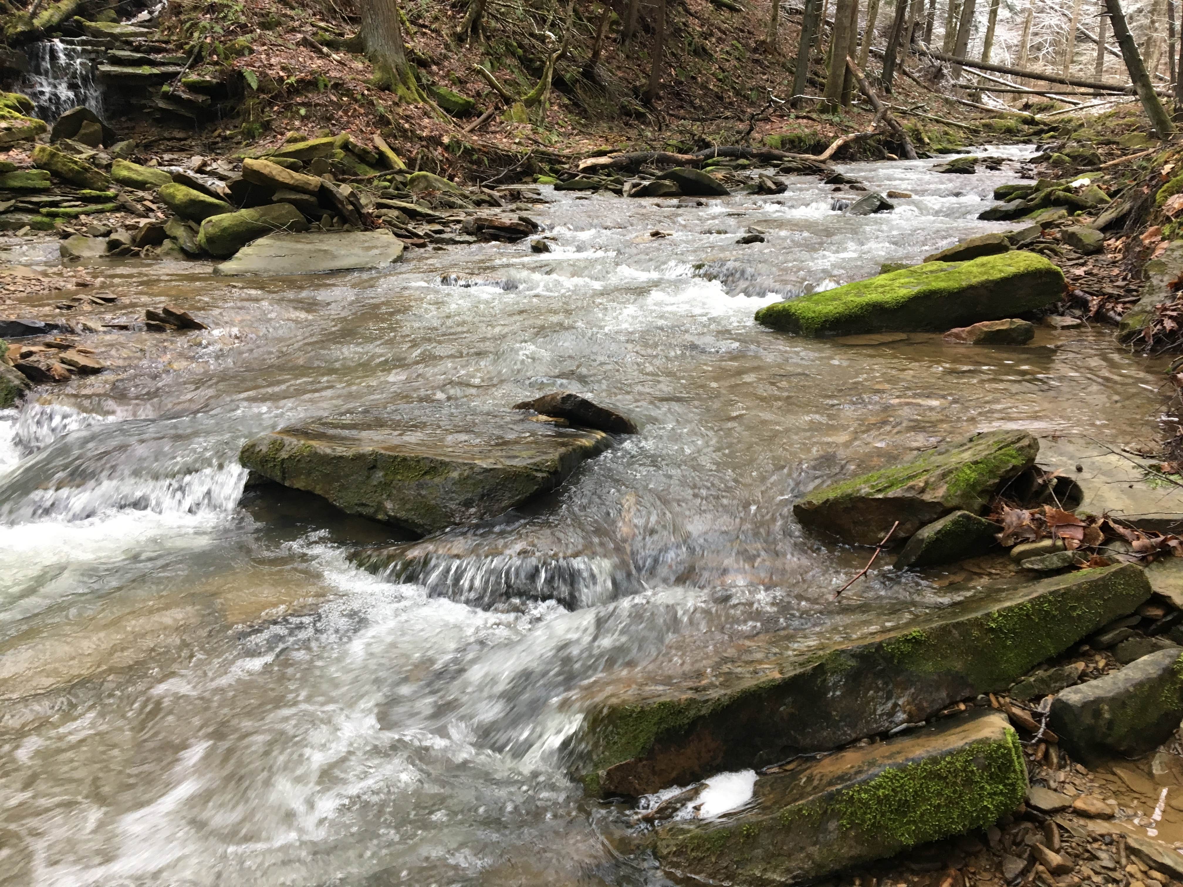 Camper-submitted photo at Oil Creek Family Campground near Leeper, PA