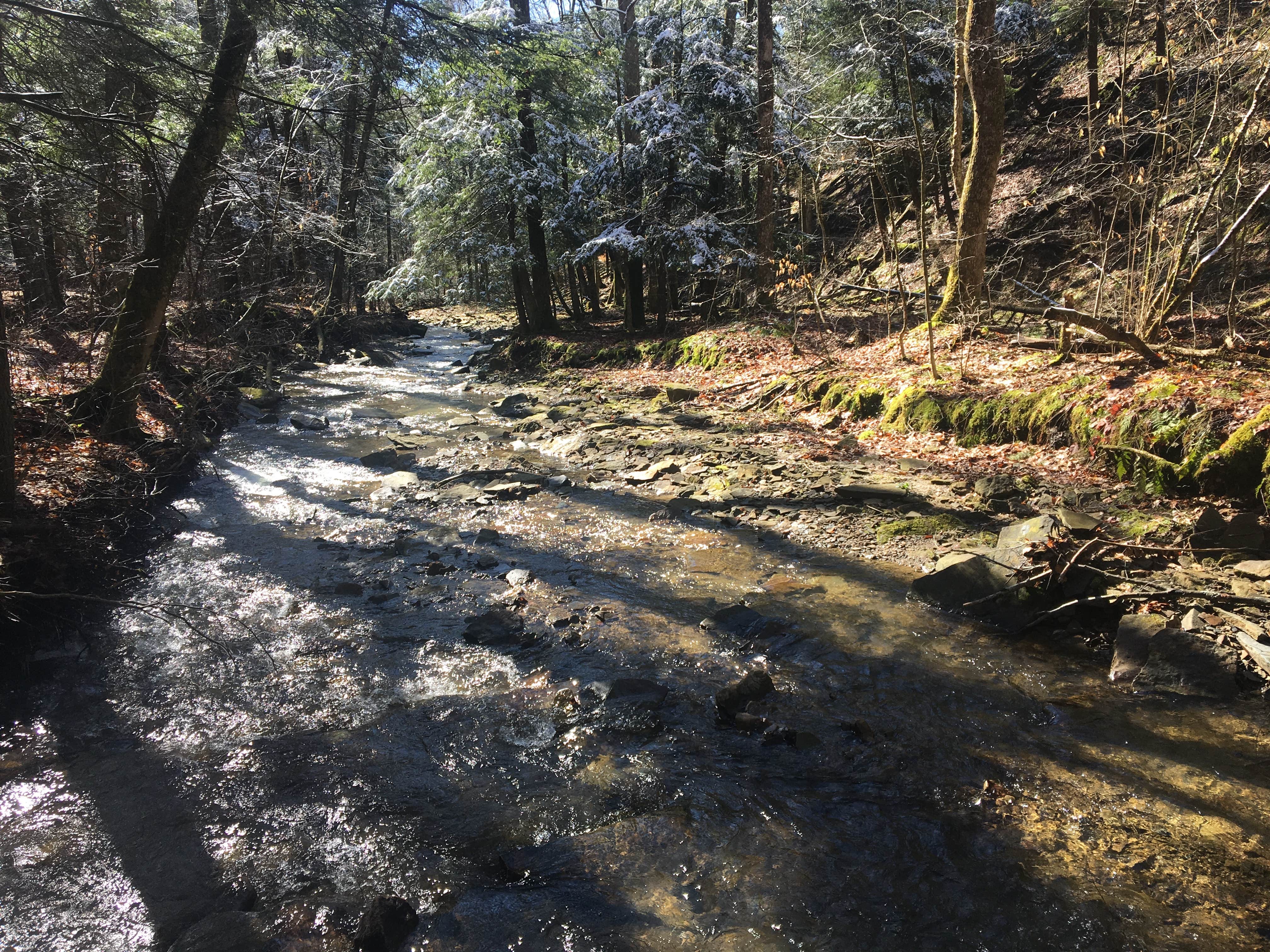 Camper-submitted photo at Oil Creek Family Campground near Leeper, PA