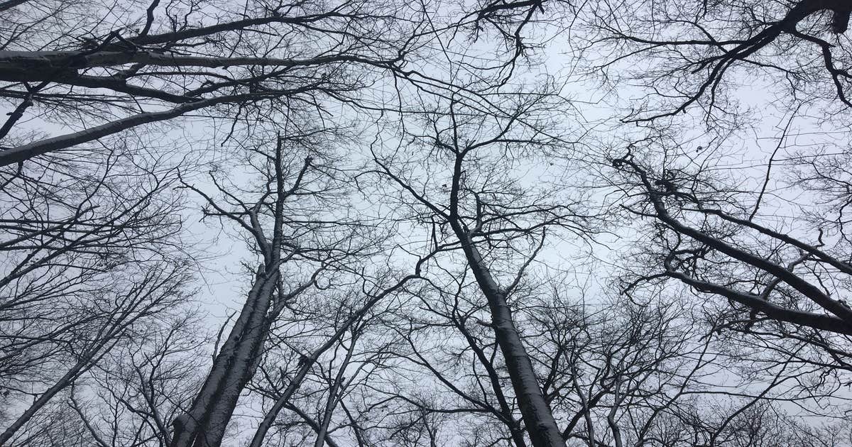 Oil Creek Family Campground - Main photo