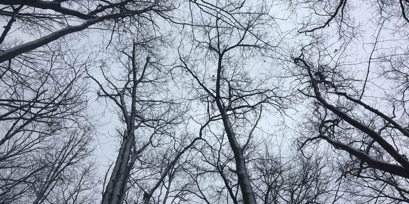 Camper submitted image from Oil Creek Family Campground