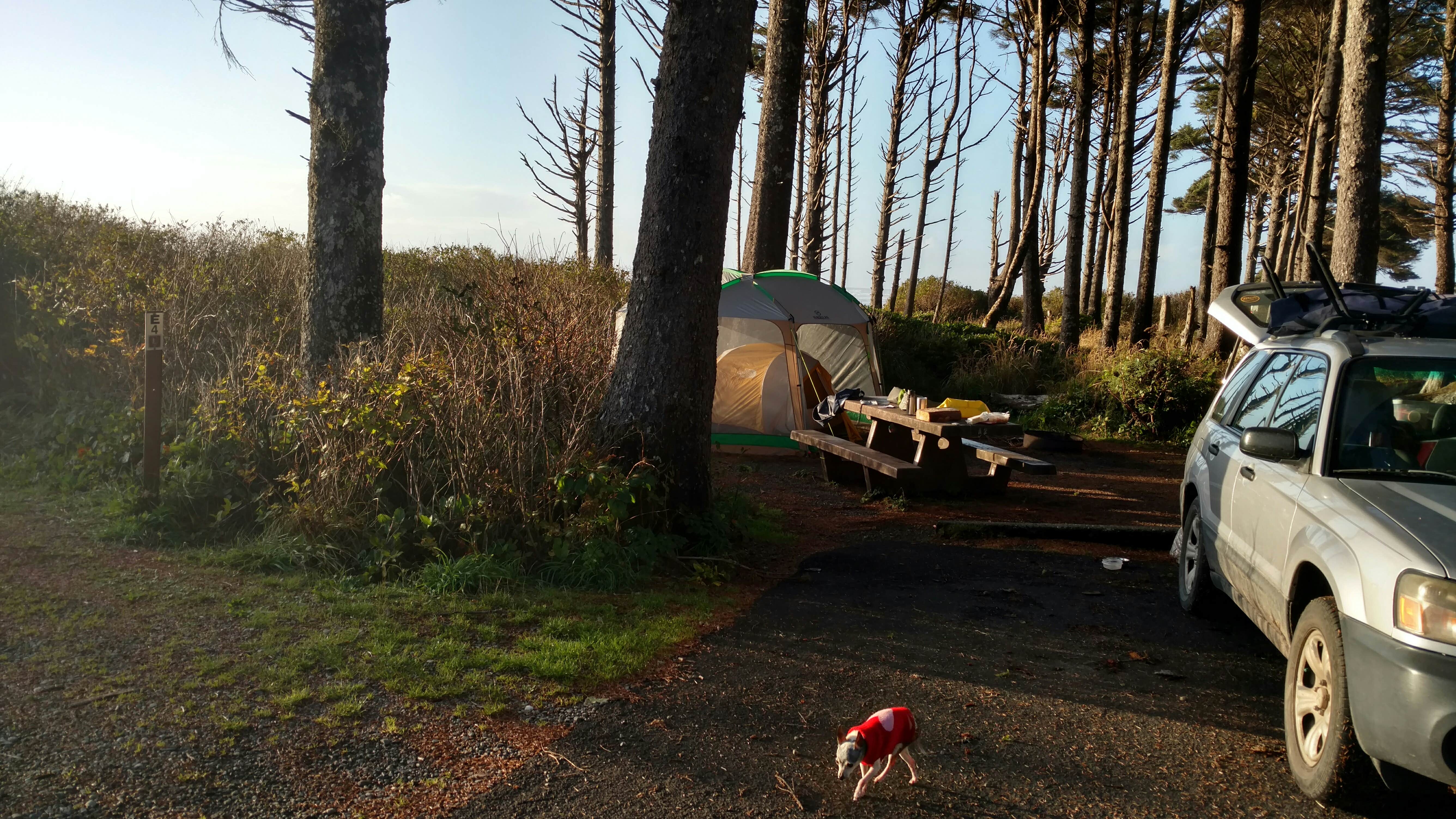 Camper submitted image from Kalaloch Campground - group — Olympic National Park - 5