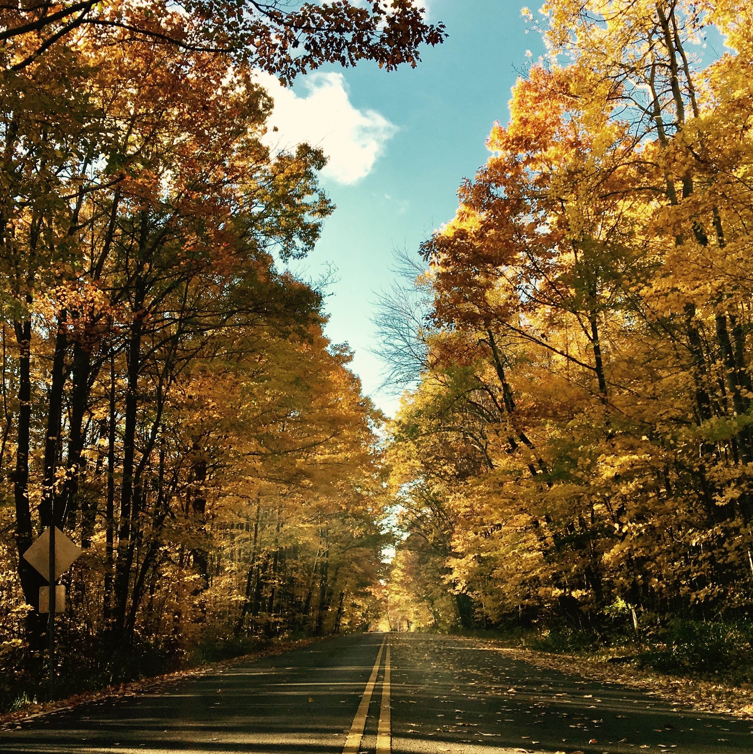 Camper-submitted photo at Geneva State Park Campground near Wickliffe, OH
