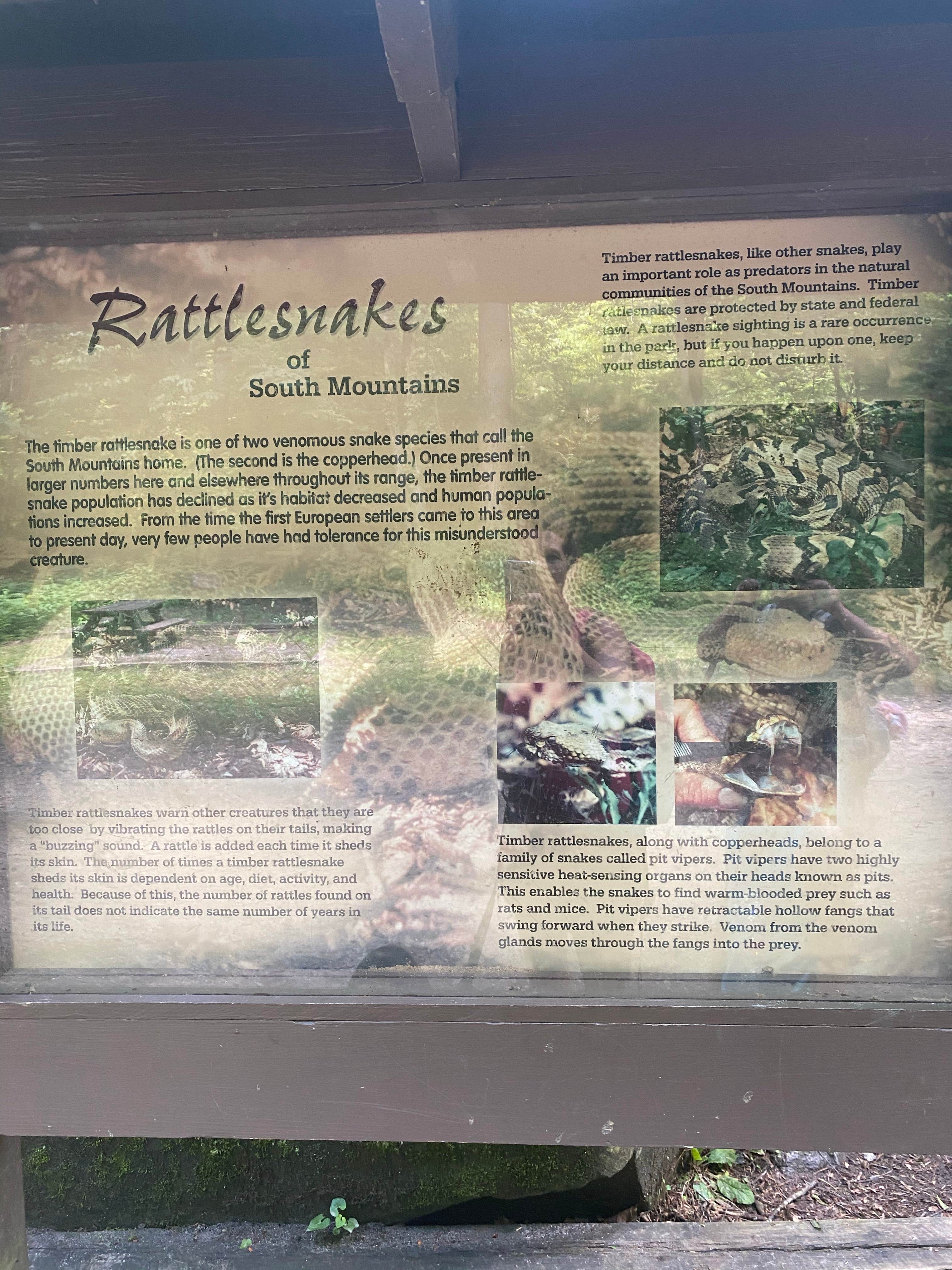 Camper-submitted photo at South Mountains State Park Family Campground near Boiling Springs, NC