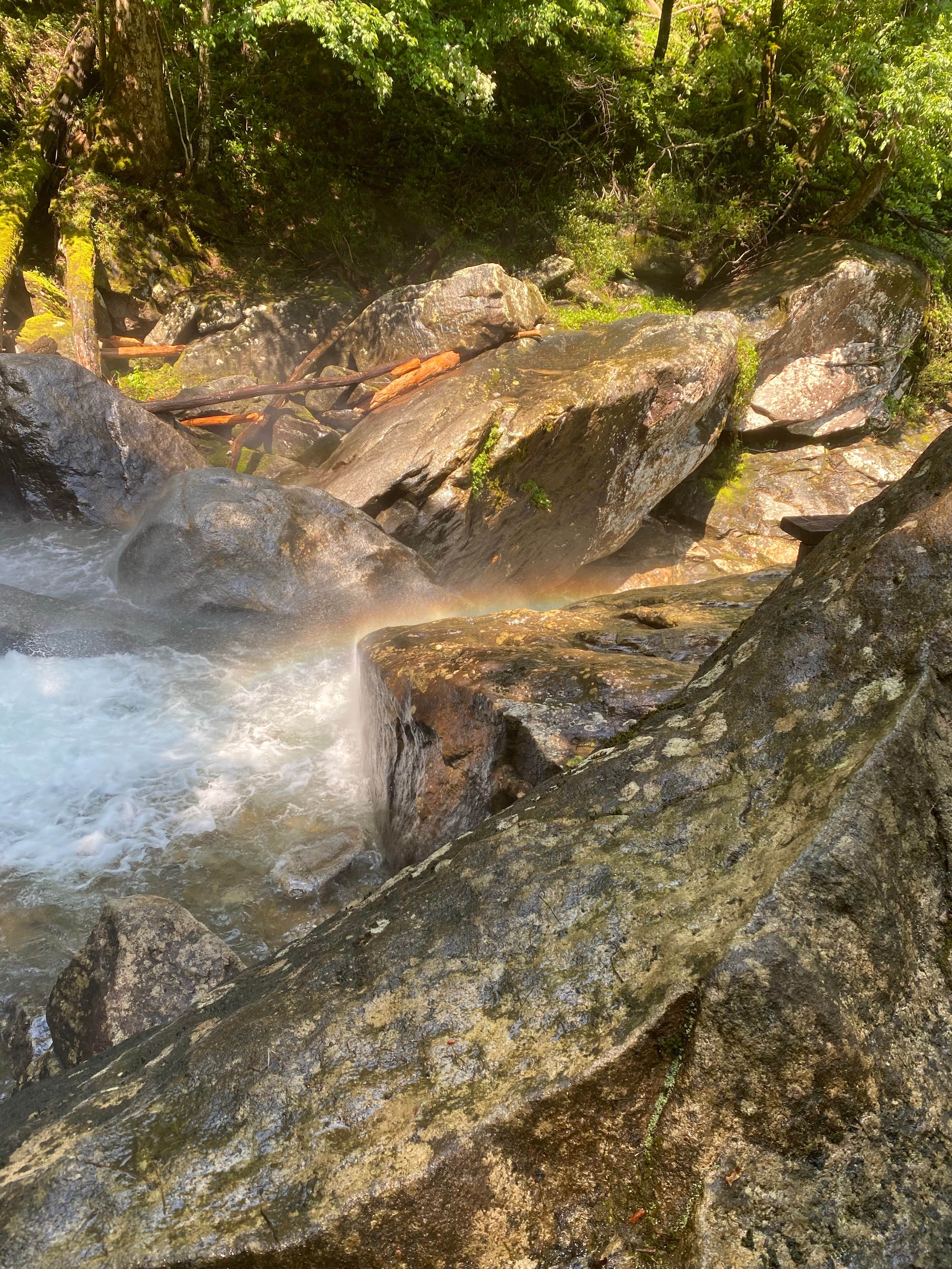 Camper-submitted photo at South Mountains State Park Family Campground near Boiling Springs, NC