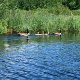 Review photo of Big Bog State Recreation Area by Scott M., June 21, 2020