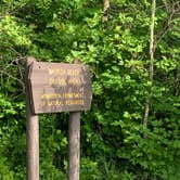 Review photo of Big Bog State Recreation Area by Scott M., June 21, 2020