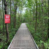 Review photo of Big Bog State Recreation Area by Scott M., June 21, 2020