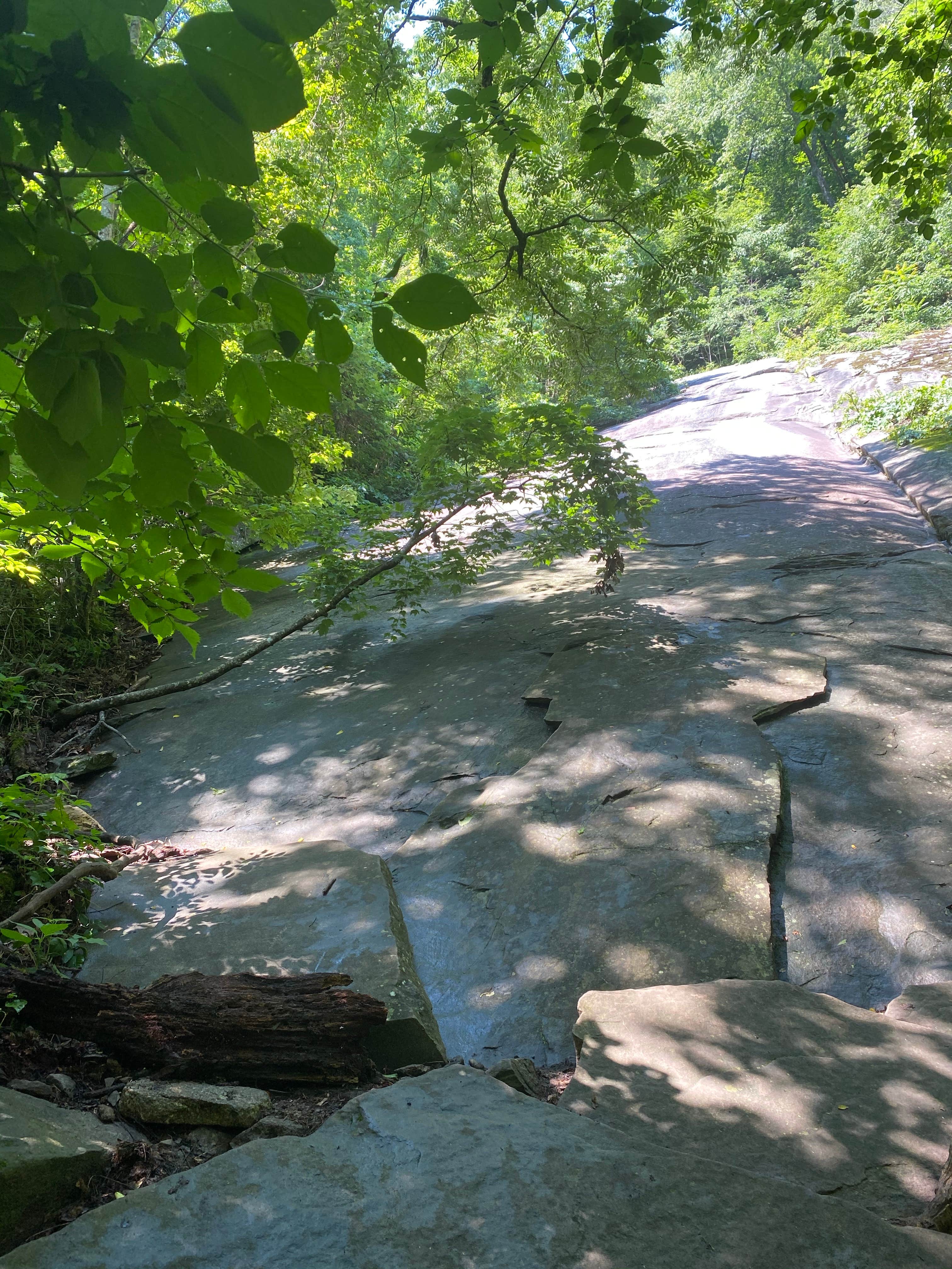 Camper-submitted photo at South Mountains State Park Family Campground near Boiling Springs, NC