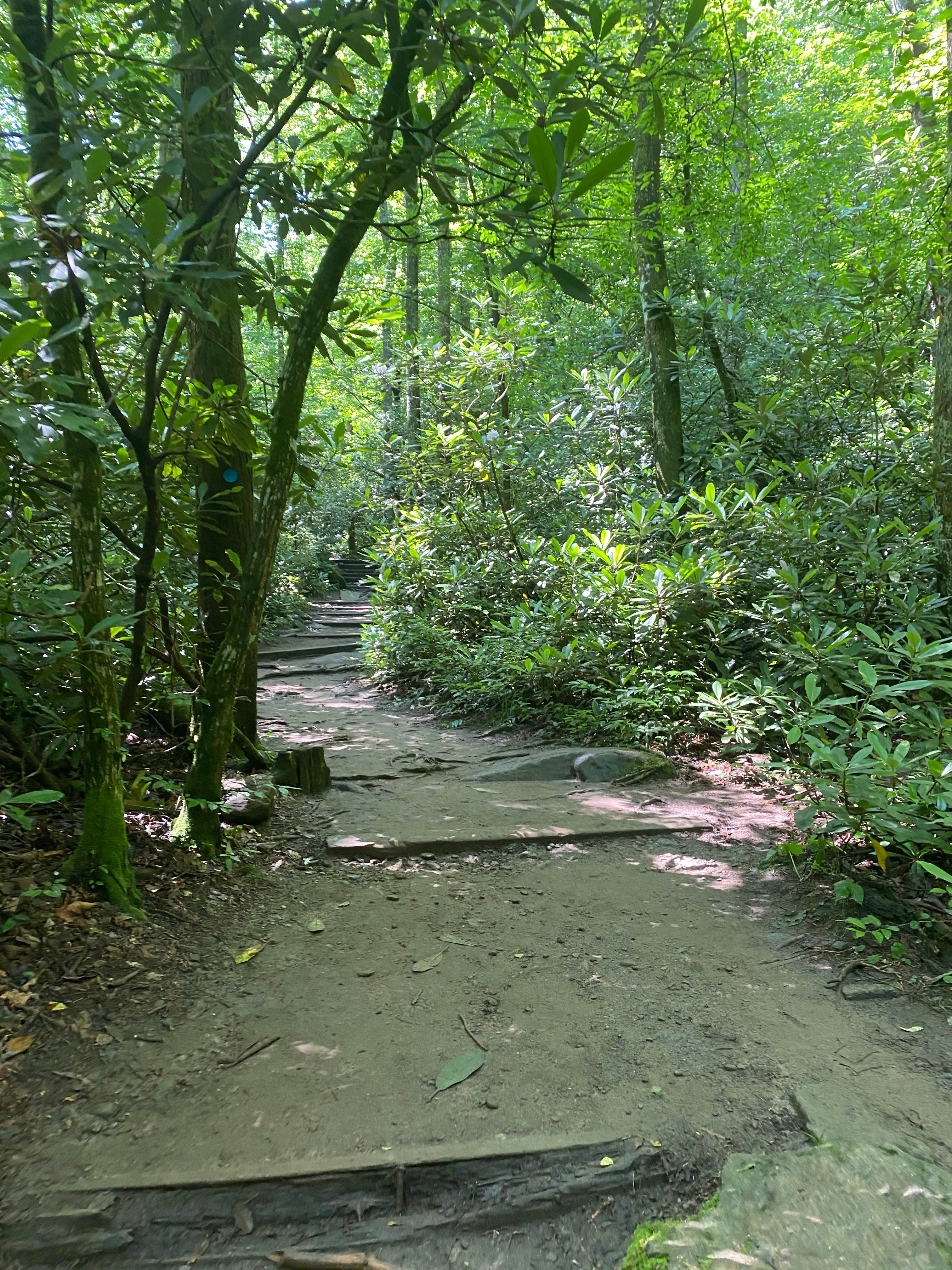 Camper submitted image from South Mountains State Park Campground - 1